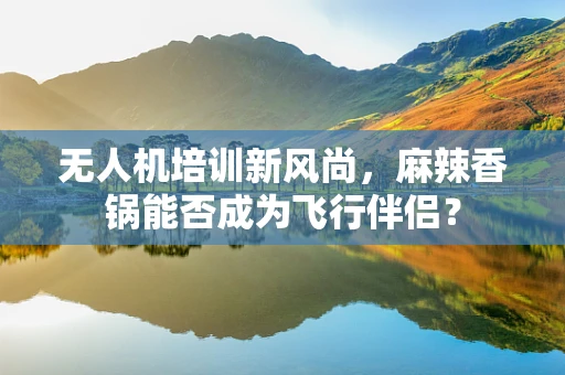 无人机培训新风尚，麻辣香锅能否成为飞行伴侣？