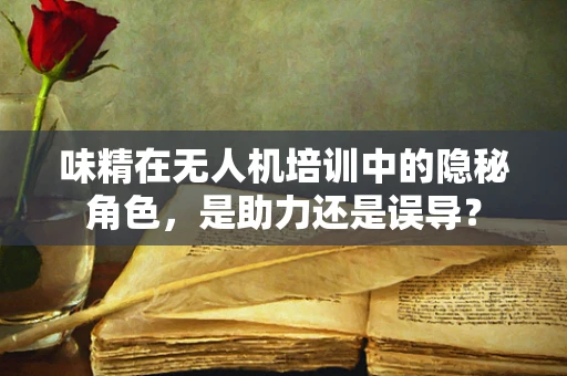 味精在无人机培训中的隐秘角色，是助力还是误导？