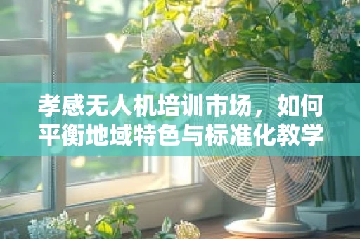 孝感无人机培训市场，如何平衡地域特色与标准化教学？