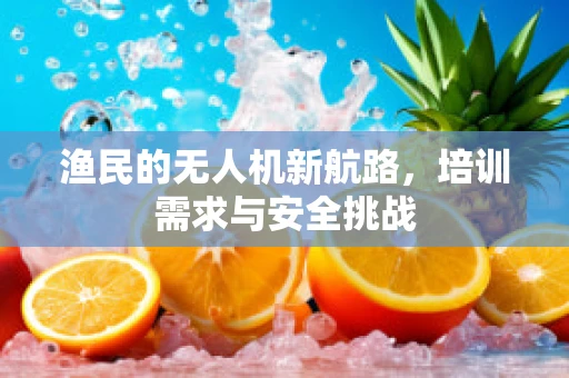 渔民的无人机新航路，培训需求与安全挑战