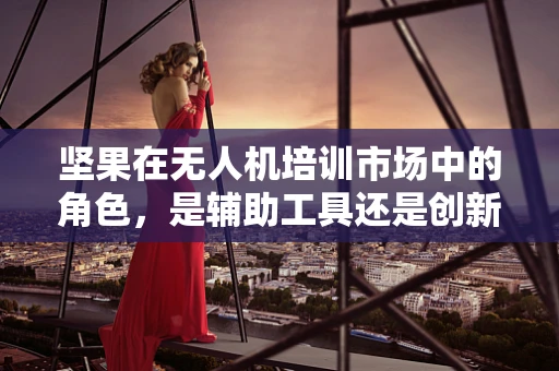 坚果在无人机培训市场中的角色，是辅助工具还是创新教学元素？