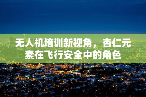 无人机培训新视角，杏仁元素在飞行安全中的角色