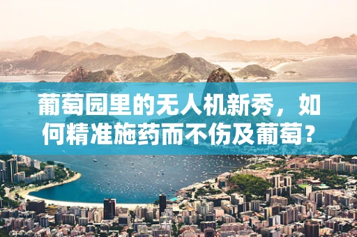 葡萄园里的无人机新秀，如何精准施药而不伤及葡萄？