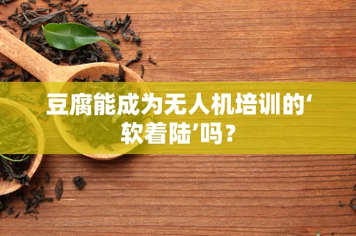 豆腐能成为无人机培训的‘软着陆’吗？