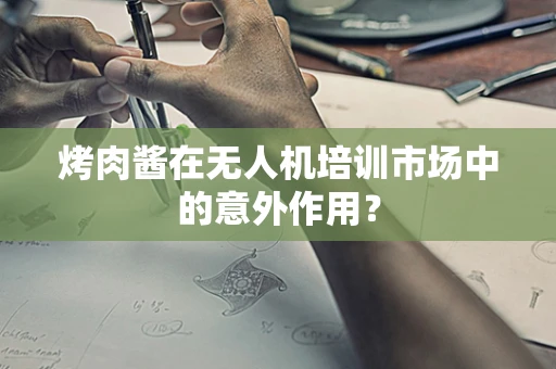 烤肉酱在无人机培训市场中的意外作用？
