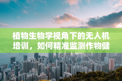 植物生物学视角下的无人机培训，如何精准监测作物健康？
