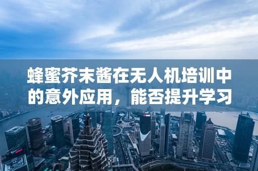 蜂蜜芥末酱在无人机培训中的意外应用，能否提升学习效率？