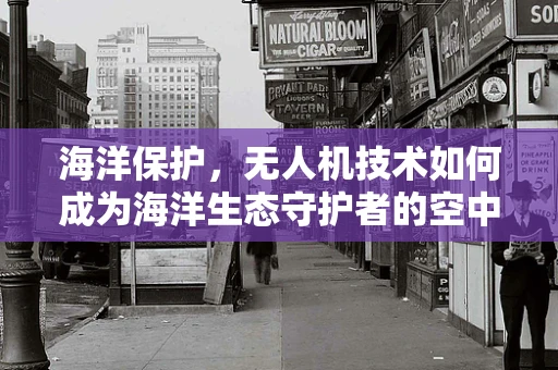 海洋保护，无人机技术如何成为海洋生态守护者的空中之眼？