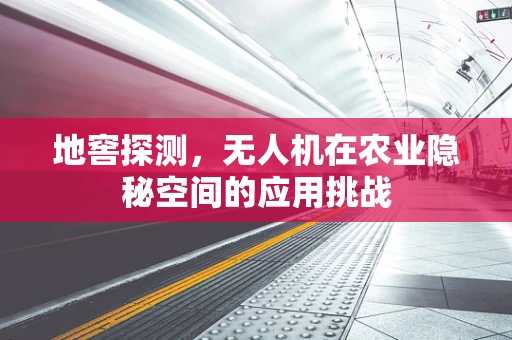 地窖探测，无人机在农业隐秘空间的应用挑战
