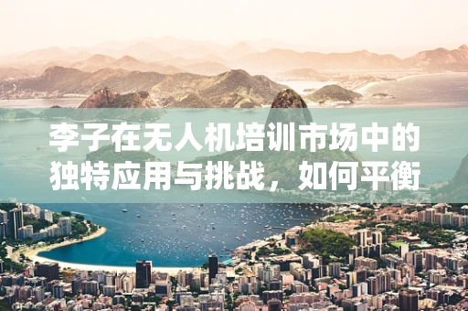 李子在无人机培训市场中的独特应用与挑战，如何平衡实用与趣味？
