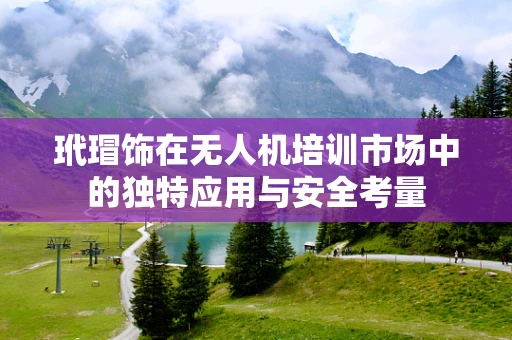 玳瑁饰在无人机培训市场中的独特应用与安全考量