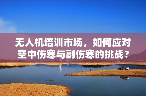 无人机培训市场，如何应对空中伤寒与副伤寒的挑战？