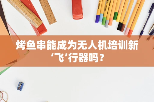 烤鱼串能成为无人机培训新‘飞’行器吗？