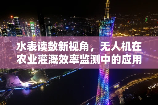 水表读数新视角，无人机在农业灌溉效率监测中的应用