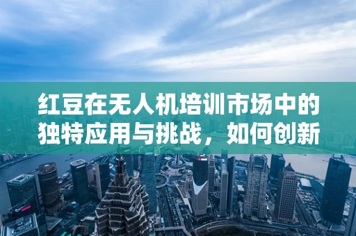 红豆在无人机培训市场中的独特应用与挑战，如何创新教学工具？