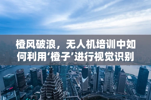 橙风破浪，无人机培训中如何利用‘橙子’进行视觉识别训练？