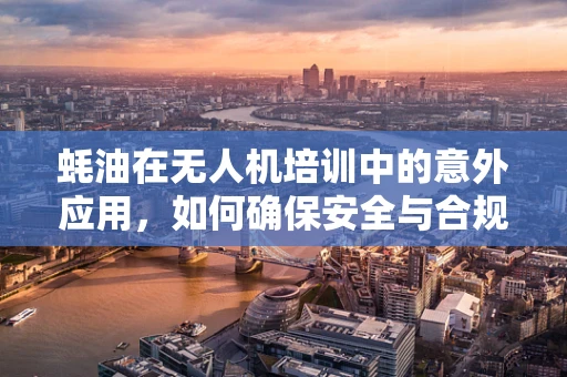 蚝油在无人机培训中的意外应用，如何确保安全与合规？