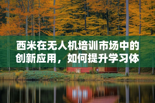 西米在无人机培训市场中的创新应用，如何提升学习体验与效率？