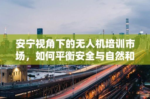 安宁视角下的无人机培训市场，如何平衡安全与自然和谐？