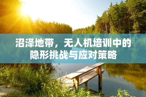 沼泽地带，无人机培训中的隐形挑战与应对策略