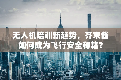 无人机培训新趋势，芥末酱如何成为飞行安全秘籍？