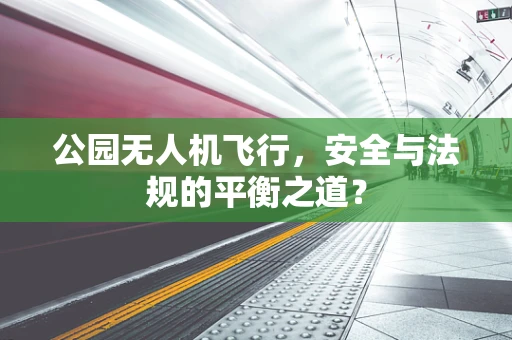 公园无人机飞行，安全与法规的平衡之道？