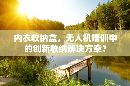 内衣收纳盒，无人机培训中的创新收纳解决方案？