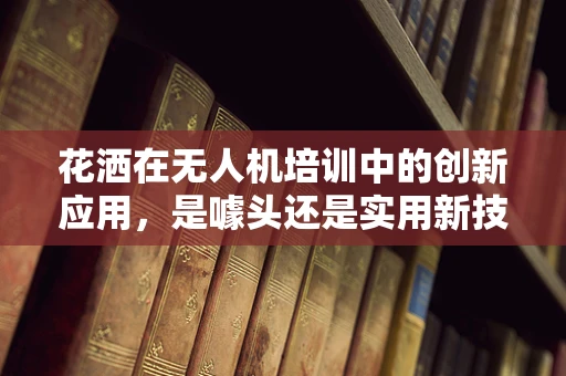 花洒在无人机培训中的创新应用，是噱头还是实用新技能？