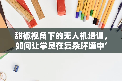 甜椒视角下的无人机培训，如何让学员在复杂环境中‘看’得更远？