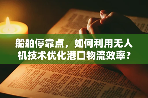 船舶停靠点，如何利用无人机技术优化港口物流效率？