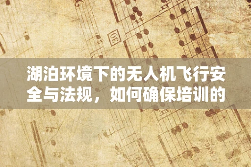 湖泊环境下的无人机飞行安全与法规，如何确保培训的合规性？