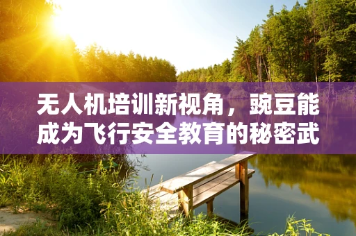 无人机培训新视角，豌豆能成为飞行安全教育的秘密武器吗？
