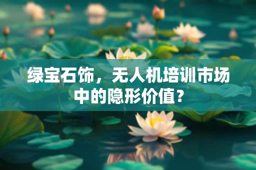 绿宝石饰，无人机培训市场中的隐形价值？