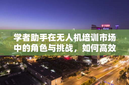 学者助手在无人机培训市场中的角色与挑战，如何高效辅助学习？
