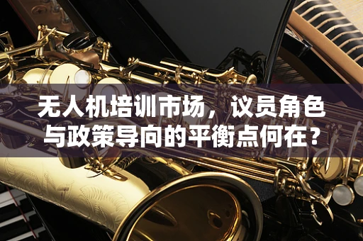 无人机培训市场，议员角色与政策导向的平衡点何在？