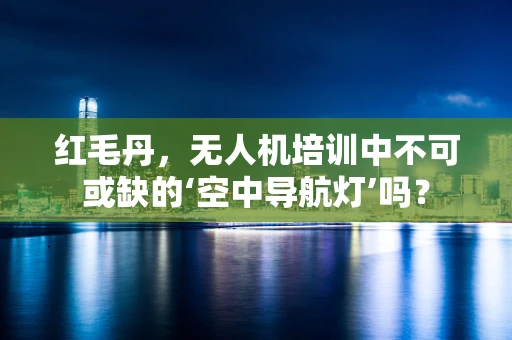 红毛丹，无人机培训中不可或缺的‘空中导航灯’吗？