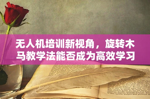 无人机培训新视角，旋转木马教学法能否成为高效学习工具？