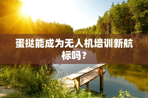 蛋挞能成为无人机培训新航标吗？
