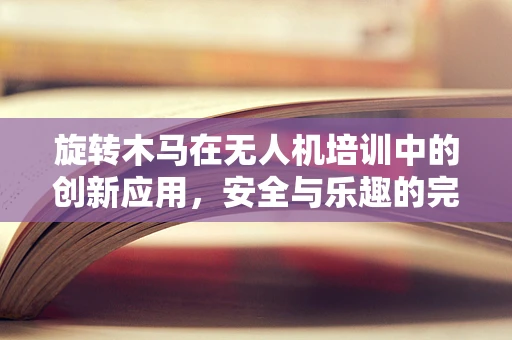 旋转木马在无人机培训中的创新应用，安全与乐趣的完美结合？