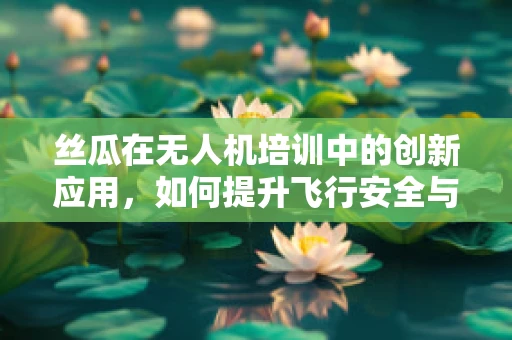 丝瓜在无人机培训中的创新应用，如何提升飞行安全与效率？