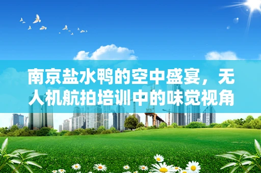 南京盐水鸭的空中盛宴，无人机航拍培训中的味觉视角探索