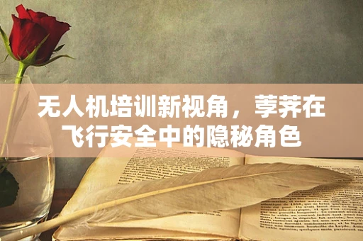 无人机培训新视角，荸荠在飞行安全中的隐秘角色