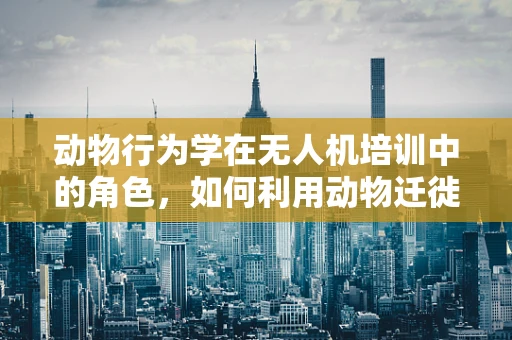 动物行为学在无人机培训中的角色，如何利用动物迁徙模式优化飞行路径？
