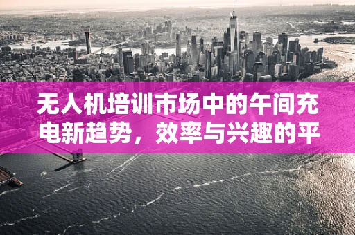 无人机培训市场中的午间充电新趋势，效率与兴趣的平衡