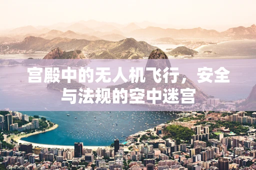 宫殿中的无人机飞行，安全与法规的空中迷宫