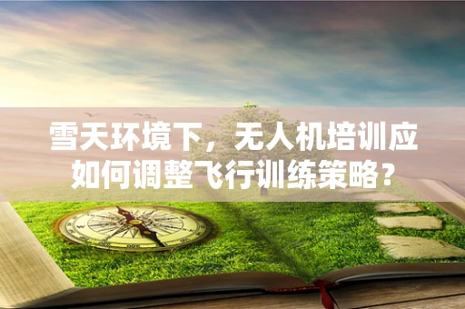 雪天环境下，无人机培训应如何调整飞行训练策略？