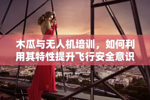 木瓜与无人机培训，如何利用其特性提升飞行安全意识？