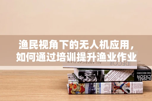 渔民视角下的无人机应用，如何通过培训提升渔业作业效率？