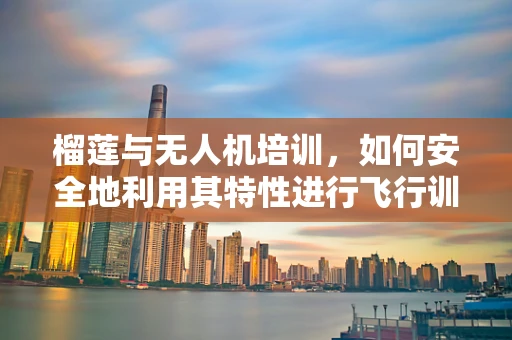 榴莲与无人机培训，如何安全地利用其特性进行飞行训练？