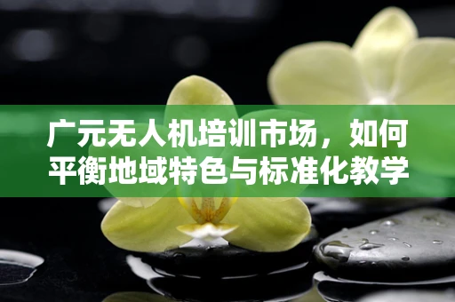 广元无人机培训市场，如何平衡地域特色与标准化教学？